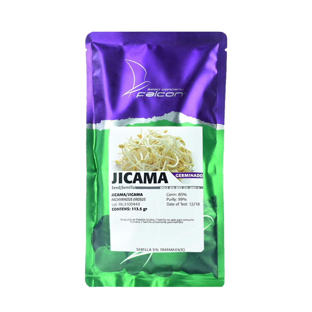 Jicama para Brote